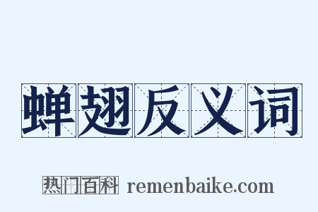 蝉翅反义词是什么意思的图片